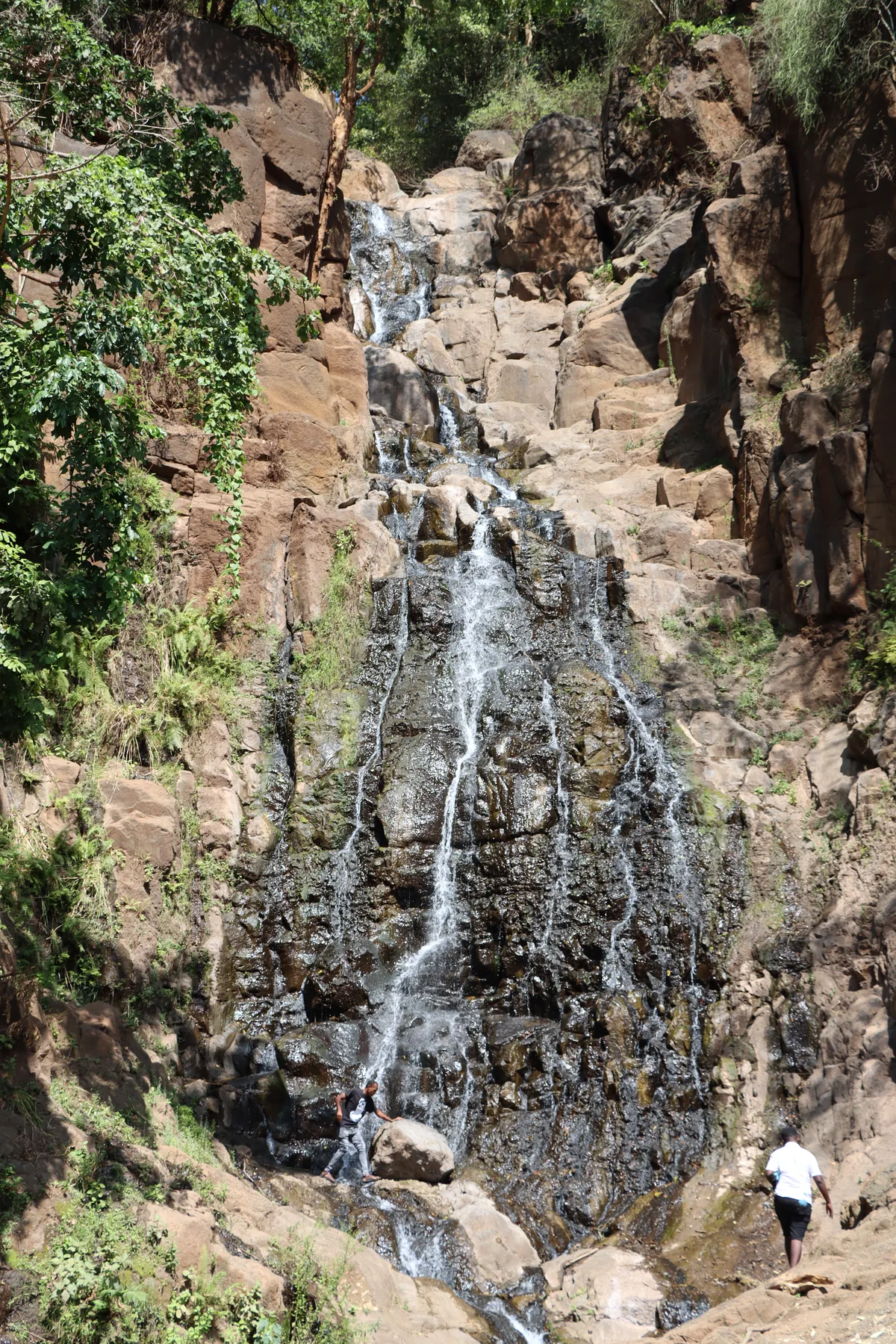Arusha Beyond Safari: Forest Paths, Waterfalls and Everyday Life — An encounter in Tanzania's wild