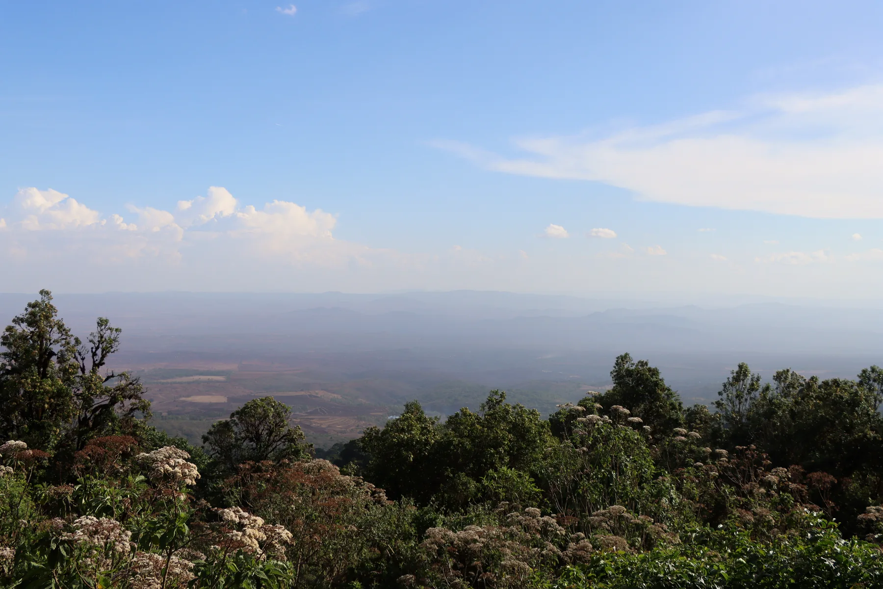 Wide view across the Ngorongoro Highlands