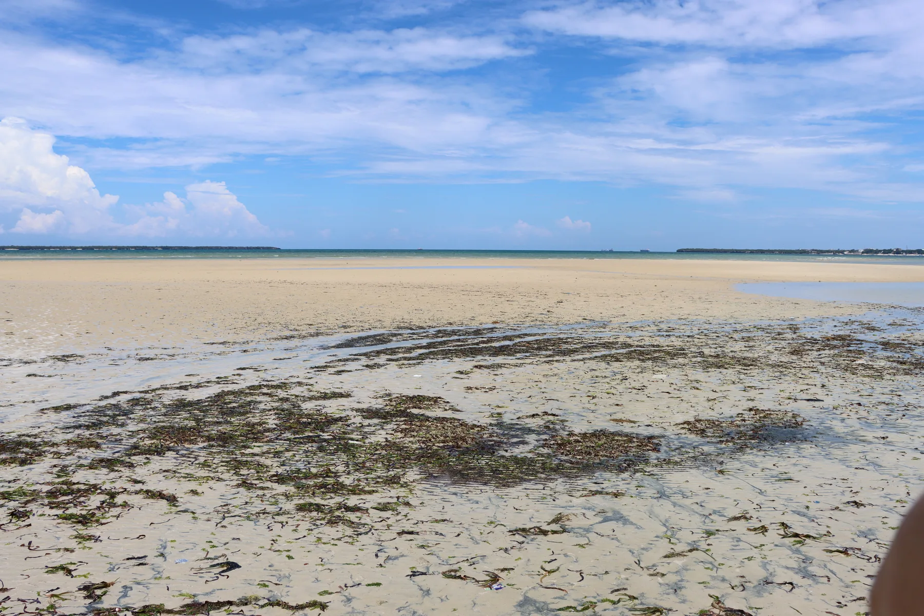 Low tide on the Zanzibar coast